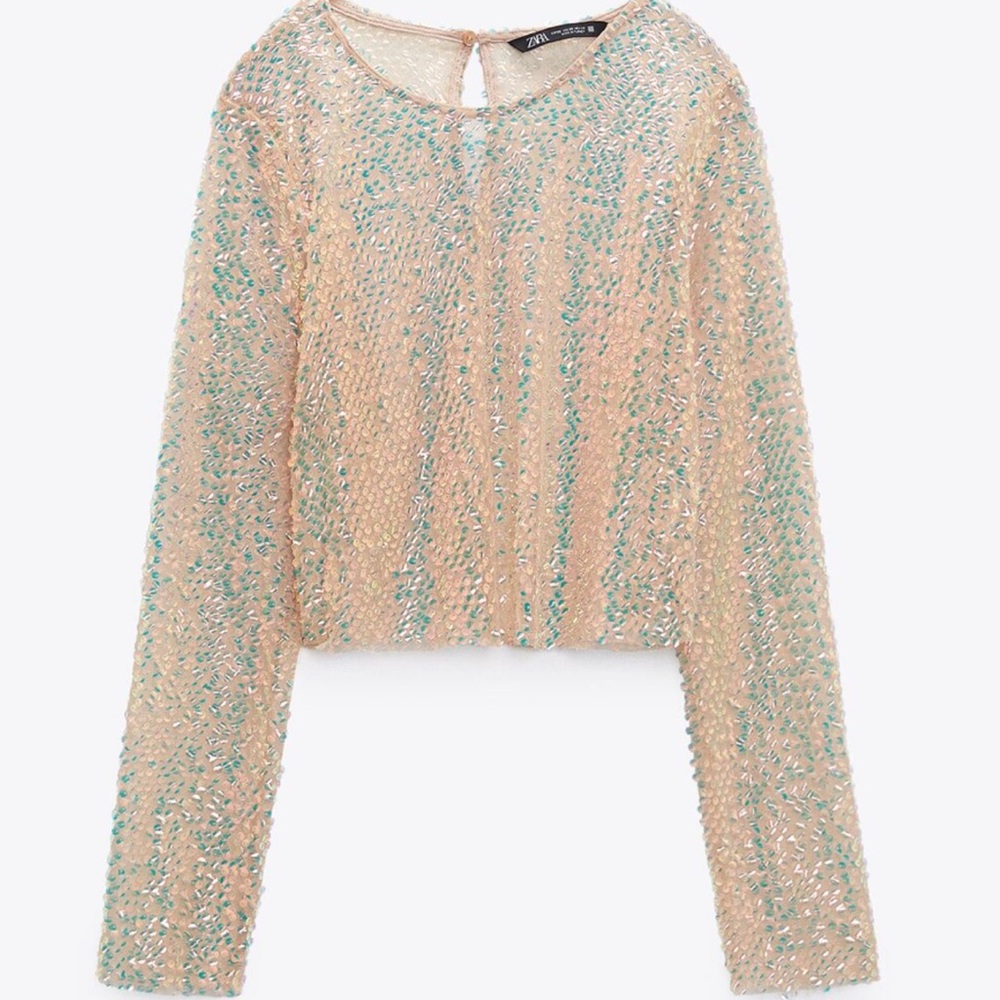 Zara Sequin Cropped Top